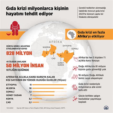 Dünya Gıda Krizi: Gıda Güvenliği ve Açlıkla Mücadelede Uluslararası Çabalar